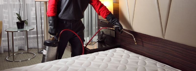 Bedbugs Control Service In Bahrain